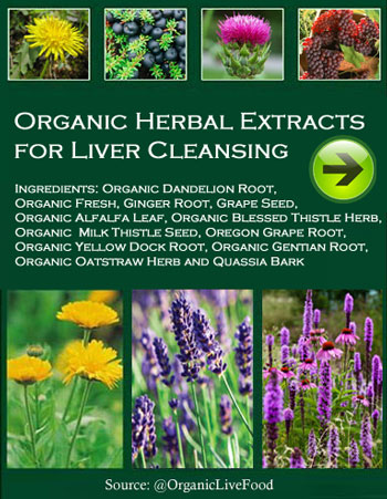 Organic Herbal Extracts for Liver Cleansing 