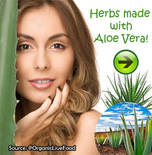 health-benefits-of-aloe-vera-plant