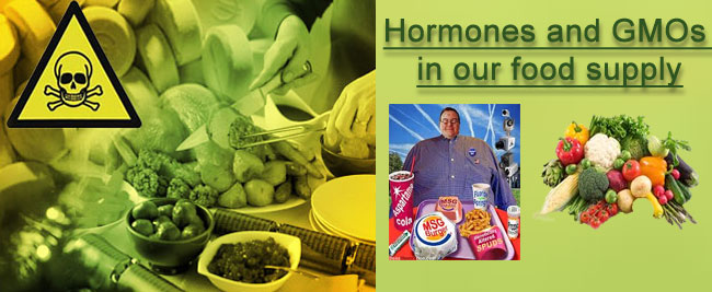 hormone-GMO-food
