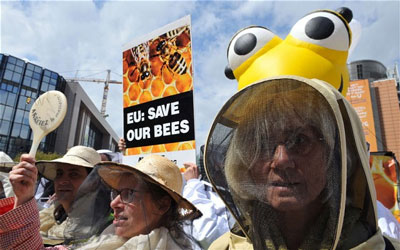 EPA under the Obama administration is sued over the deaths of bees