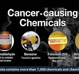 cancer causing chemicals