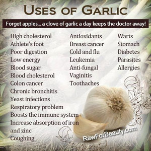 eat-to-beat-diseases-like-cancer-healing-power-of-garlic