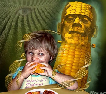 gene-of-genetically-modified-foods-can-be-transferred-into-human-blood-DNA