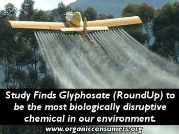 glyphosate-linked-to-breastcancer-chronically-sick-people-have-high-levels-of-glyphosate-in-their-urine