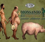 gmo-harms-Monsanto