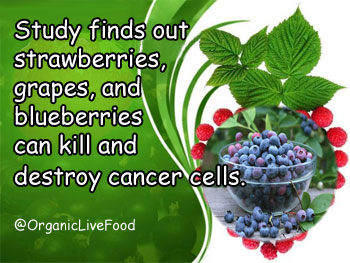 health-benefits-of-blueberries-antiaging-killing-cancer-cells-reducing-risk-of-Alzheimers-heart-disease-diabetes-weight-loss