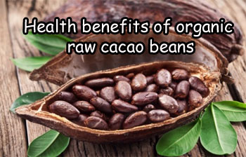 health-benefits-raw-cacao-beans