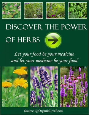 herbal-extracts-traveler-herbals-first-aid-kit