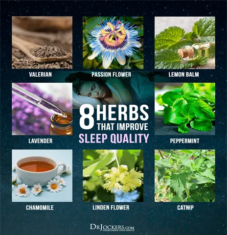 herbs-for-sleeping-disorder