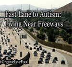 living-close-to-highways-may-contribute-to-a-wide-range-of-health-problems-including-autism-asthma