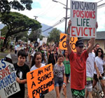 mayor-kenoi-signs-bill-113-prohibiting-biotech-companies-to-plant-GMOs-in-Hawaii