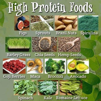 meat-free-protein-source-plant-based-foods-high-in-protein