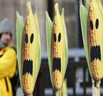 monsantos-gmo-corn-banned-russia