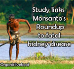 monsantos-popular-weedkiller-roundup-glyphosate-is-linked-to-fatal-kidney-disease-ckdu