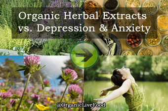 organic-foods-herbs-for-treating-depression-anxiety