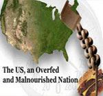 overfed-nation-but-undernourished-obesity-epidemic-junk-food-corporations