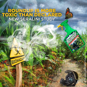 toxicity-of-glyphosate-herbecide-roundup-Monsanto