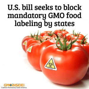 us-congress-koch-backed-congressman-mike-pompeo-consider-blocking-gmo-food-labeling-china-drops-GMO-corn-import