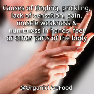 what-causes-tingling-prickling-lack-of-sensation-pain-muscle-weakness-numbness-in-hand-feet-other-parts-of-the-body