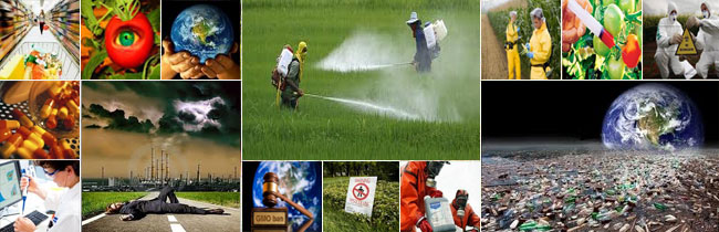 extensive-use-of-pesticides