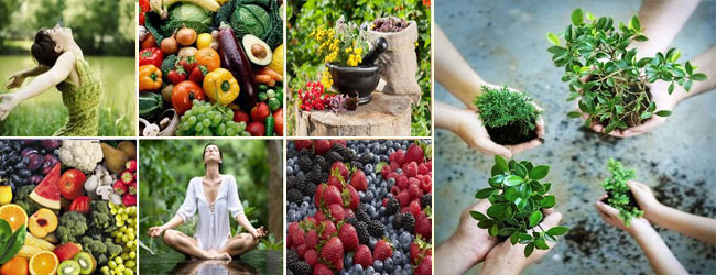 herbs-fruits-vegetables