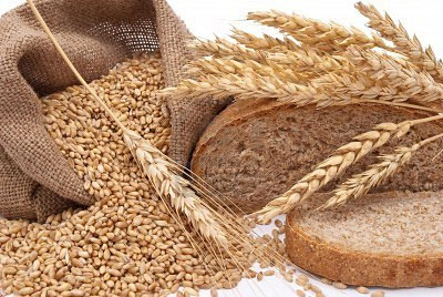 what-is-wheat